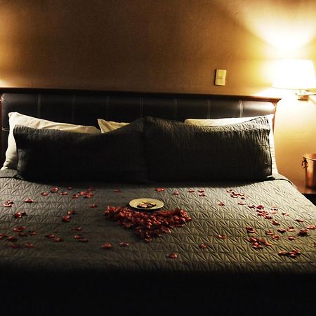 Hotel Flamingo Kristal 伊拉普阿托 外观 照片